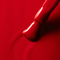 IMG_0291.PNG