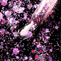 IMG_0561.PNG