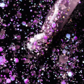IMG_0565.PNG