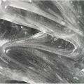 IMG_0860 (2).PNG