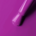 IMG_1273 (1).PNG