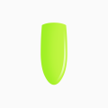 IMG_1734.PNG