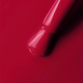 IMG_1813.PNG