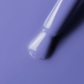 IMG_1855.PNG