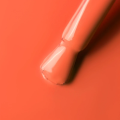 IMG_1959.PNG