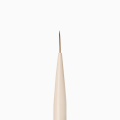 IMG_2213 (1).PNG