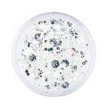 pylek-do-paznokci-bling-bling-effect-1-g-nr-01 (1).jpg