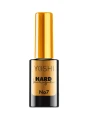 HardBase_No7_webp-570x770.webp