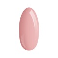 Palu-Zel-Budujacy-Pro-Light-Builder-Classic-Cover12g (2).jpg