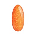 PALU_JB_ORANGE.jpg