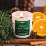 ELARTO - Świeca sojowa zapachowa Winter Sweet Home 175g