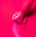 2025_06_16_673_flamingo_closeup_800x800 (1).webp